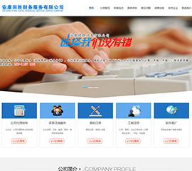 安康同胜财务服务有限公司