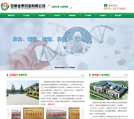 安康金泰药业有限公司