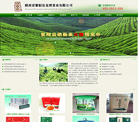 陕西省紫阳县龙潭茶业有限公司